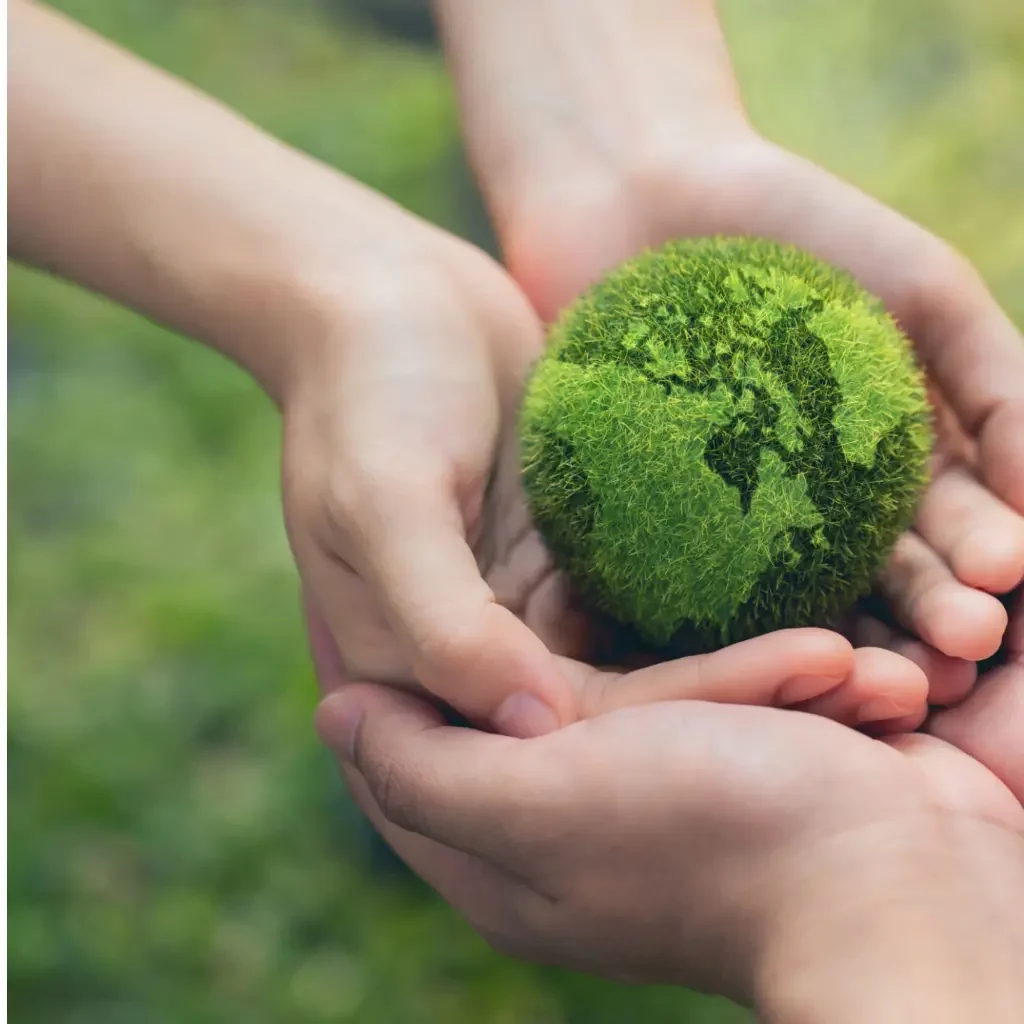 sustainability